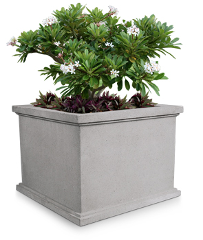 Model SQP-48 | Square Concrete Flower Pot (LSB Dove Gray)
