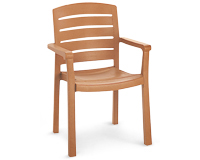Model US119008 | Acadia Resin Chair with Wood Style Finish (Teakwood Finish)