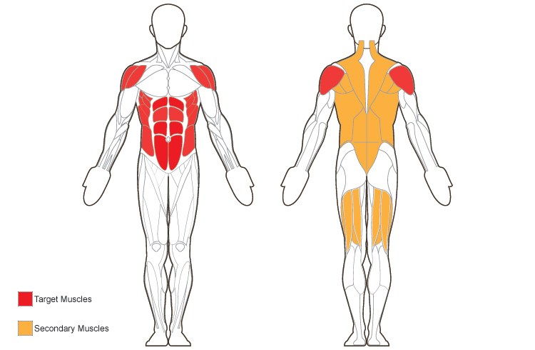 Belson | CloserLook | Front and Back Target Muscles